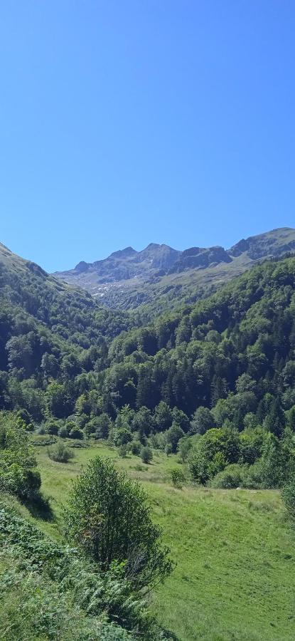 Studio Le Mont Beas Aulus-les-Bains Kültér fotó